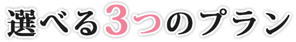 選べる3つのプラン